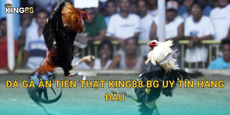 Đá gà ăn tiền thật King88 bg uy tín hàng đầu