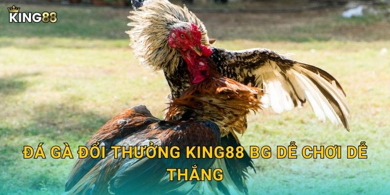 Đá gà đổi thưởng King88 bg dễ chơi dễ thắng