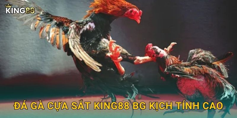 Đá gà cựa sắt King88 bg kịch tính cao