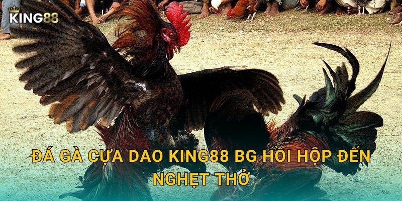 Đá gà cựa dao King88 bg hồi hộp đến nghẹt thở