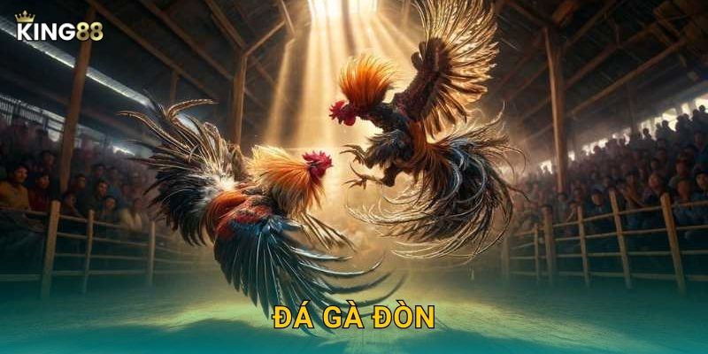 Đá Gà Đòn King88 bg - Nghệ Thuật Võ Thuật Gà 28 Đá Gà Đòn King88 bg – Nghệ Thuật Võ Thuật Gà