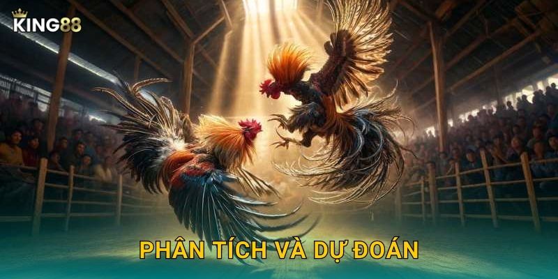 Phân tích và dự đoán