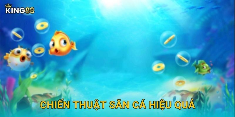 Chiến thuật săn cá hiệu quả