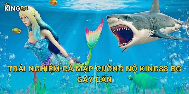 Trải nghiệm Cá Mập Cuồng Nộ King88 bg gay cấn