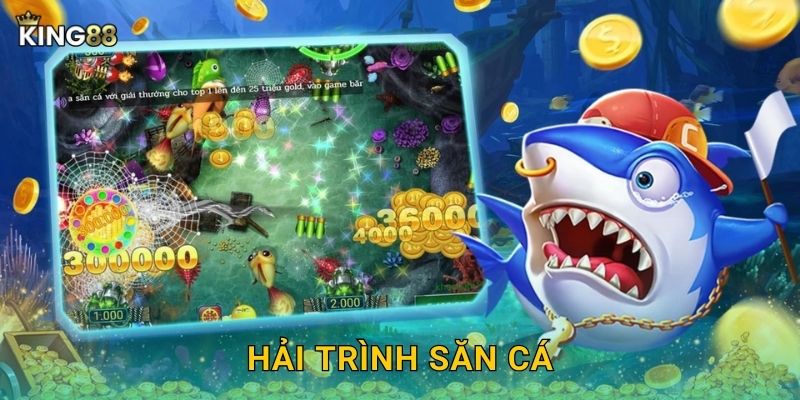 Hải Trình Săn Cá King88 bg – Hành Trình Vàng Son